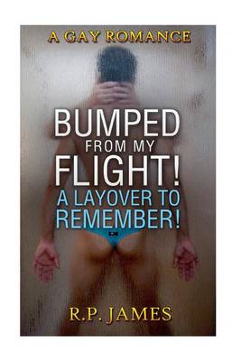 Book cover for Bumped from My Flight! a Layover to Remember!