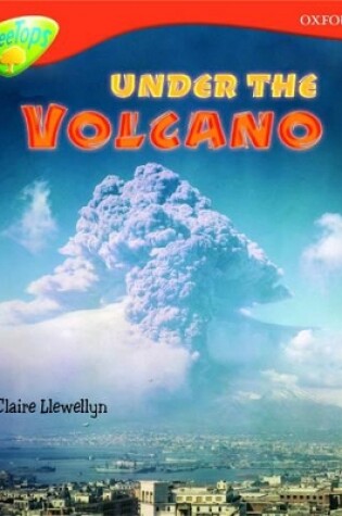 Cover of Oxford Reading Tree: Level 13: Treetops Non-Fiction: Under the Volcano