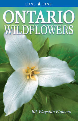 Book cover for Ontario Wildflowers