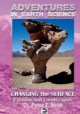 Book cover for Changing the Surface