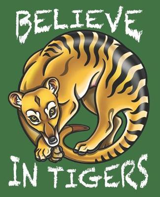 Book cover for Believe In Tigers