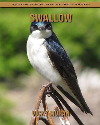 Book cover for Swallow