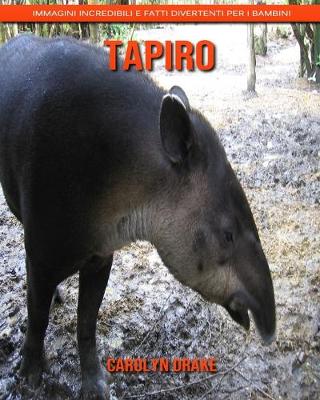 Book cover for Tapiro