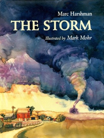 Book cover for The Storm