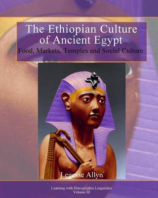 Book cover for The Ethiopian Culture of Ancient Egypt