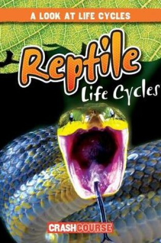 Cover of Reptile Life Cycles