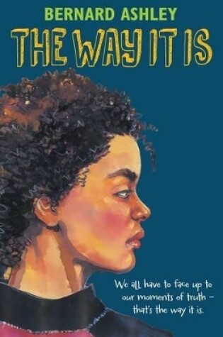 Cover of The Way it is