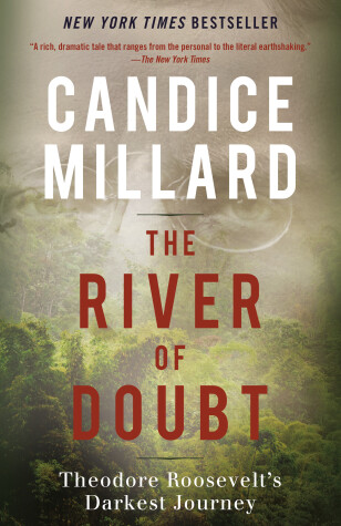 Book cover for The River of Doubt
