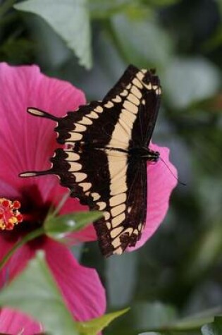 Cover of Dovetail Butterfly, for the Love of Nature