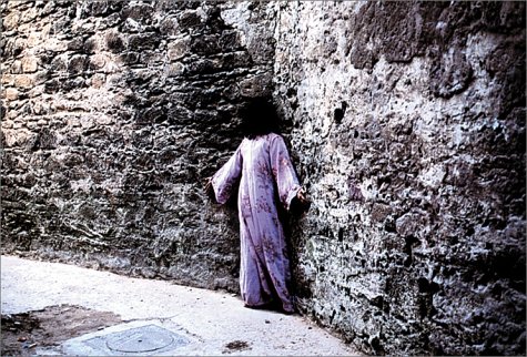 Book cover for Shirin Neshat