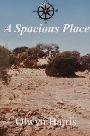 Cover of A Spacious Place