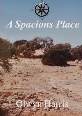 Book cover for A Spacious Place
