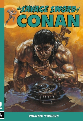 Book cover for Savage Sword Of Conan Volume 12