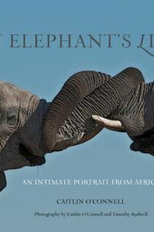 Cover of Elephant's Life