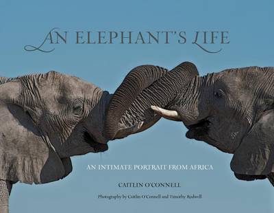 Book cover for Elephant's Life