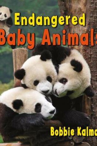Cover of Endangered Baby Animals