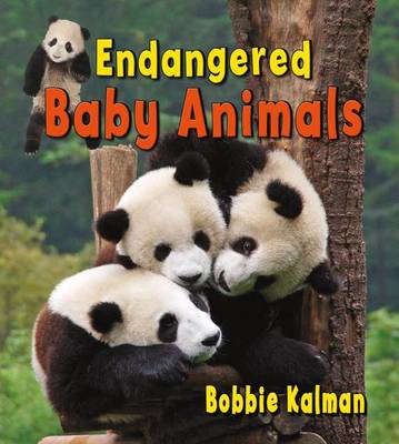 Cover of Endangered Baby Animals