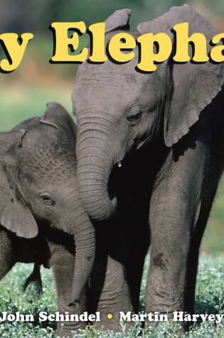 Cover of Busy Elephants