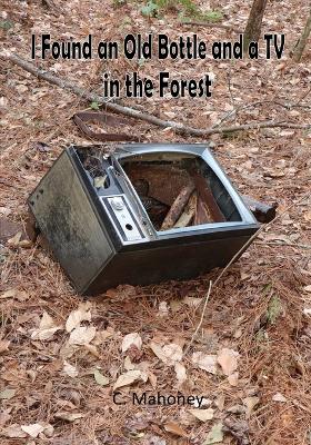 Book cover for I Found an Old Bottle and a TV in the Forest
