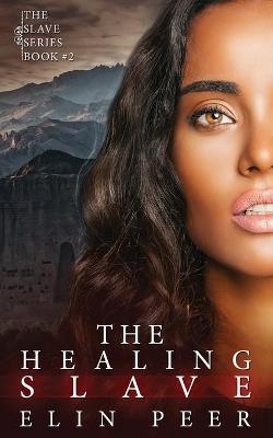 Book cover for The Healing Slave