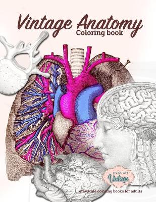 Book cover for Vintage, anatomy coloring book, grayscale coloring books for adults