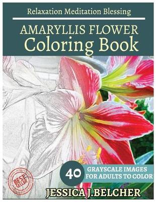 Book cover for Amaryllis Flower Coloring Book for Adults Relaxation Meditation Blessing