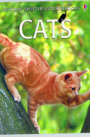 Cover of Cats Sticker Book