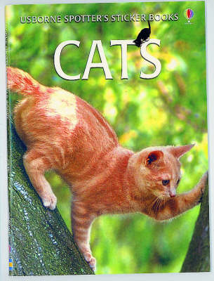 Book cover for Cats Sticker Book