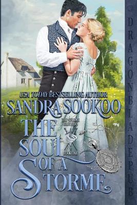 Book cover for The Soul of a Storme