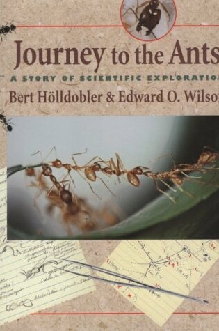 Cover of Journey to the Ants