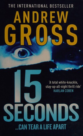 Book cover for Fifteen Seconds