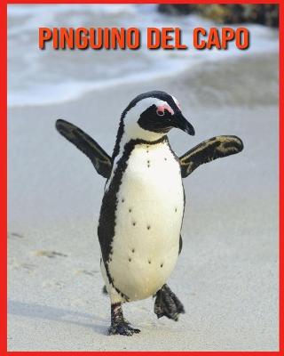 Book cover for Pinguino del Capo