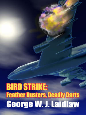 Book cover for Bird Strike