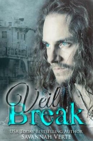 Cover of Veil Break