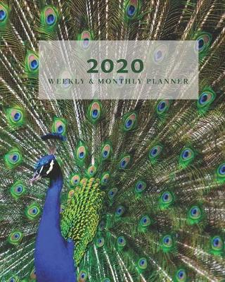 Book cover for 2020 Weekly & Monthly View Planner