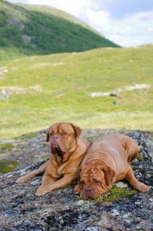 Cover of Dogue de Bordeaux