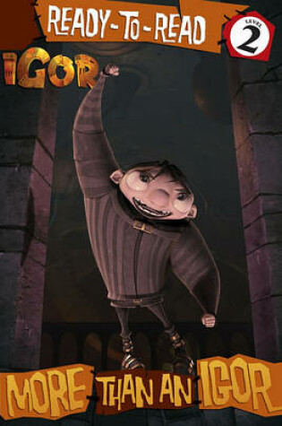 Cover of Igor: More Than an Igor
