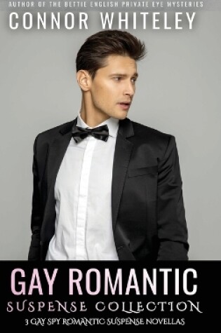 Cover of Gay Romantic Suspense Collection