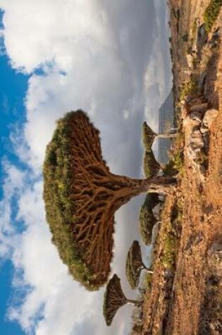 Cover of Dragon Trees at Homhil Plateau Socotra Yemen Journal