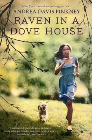 Cover of Raven in a Dove House