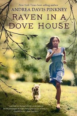 Book cover for Raven in a Dove House