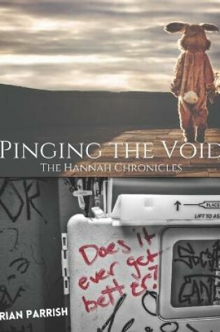 Cover of Pinging the Void