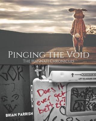 Book cover for Pinging the Void