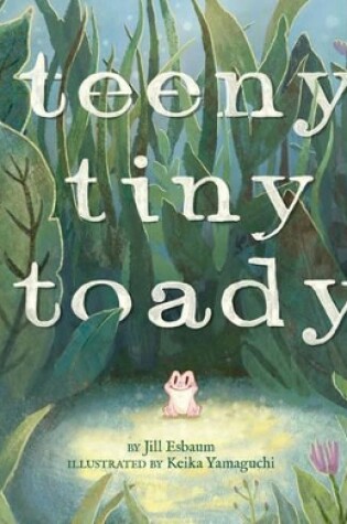 Cover of Teeny Tiny Toady