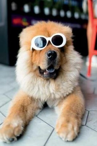 Cover of Dog Sunglasses