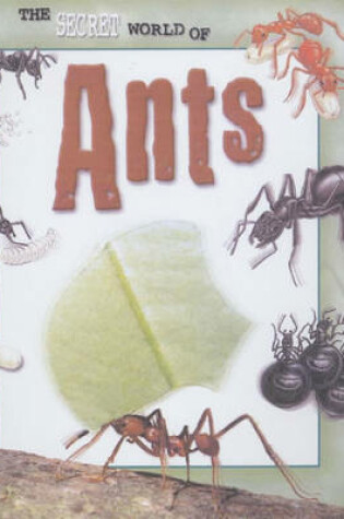 Cover of The Secret World of: Ants