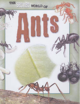 Book cover for The Secret World of: Ants