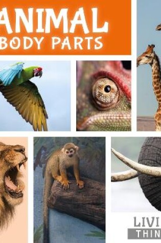 Cover of Animal Body Parts