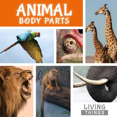 Cover of Animal Body Parts