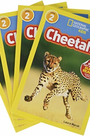 Cover of Cheetahs (4 Paperback/1 CD)